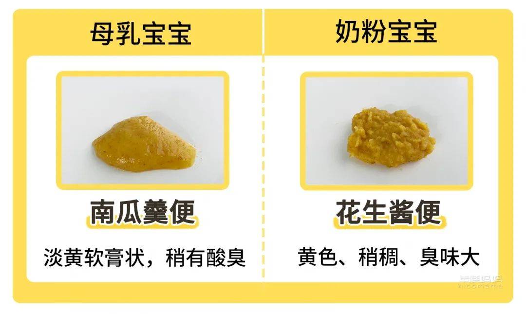 母乳大便稀與腹瀉的區(qū)別，圖解幫助理解，圖解解析，母乳大便稀與腹瀉的區(qū)別