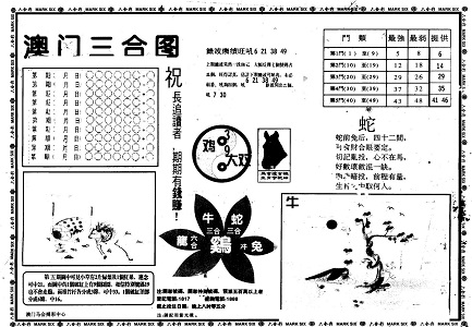王中王一肖中特期期準(zhǔn)料，深度解析與SEO優(yōu)化策略，王中王一肖精準(zhǔn)預(yù)測，深度解析與SEO優(yōu)化策略全攻略