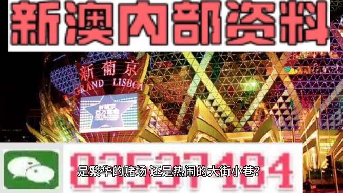 澳門(mén)免費(fèi)資料大全精準(zhǔn)版，探索與挖掘，澳門(mén)精準(zhǔn)資料大全探索挖掘之旅
