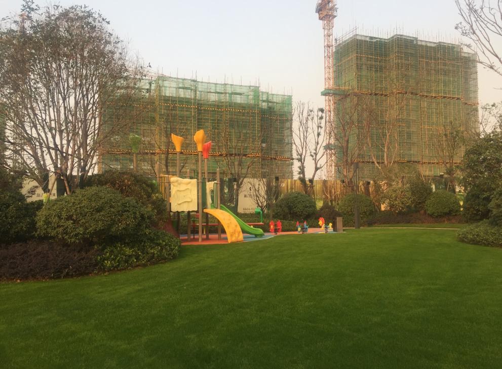 新澳三中三必中一組，揭秘彩票背后的秘密與策略，揭秘彩票背后的秘密與策略，新澳三中三必中一組的秘密與策略探討