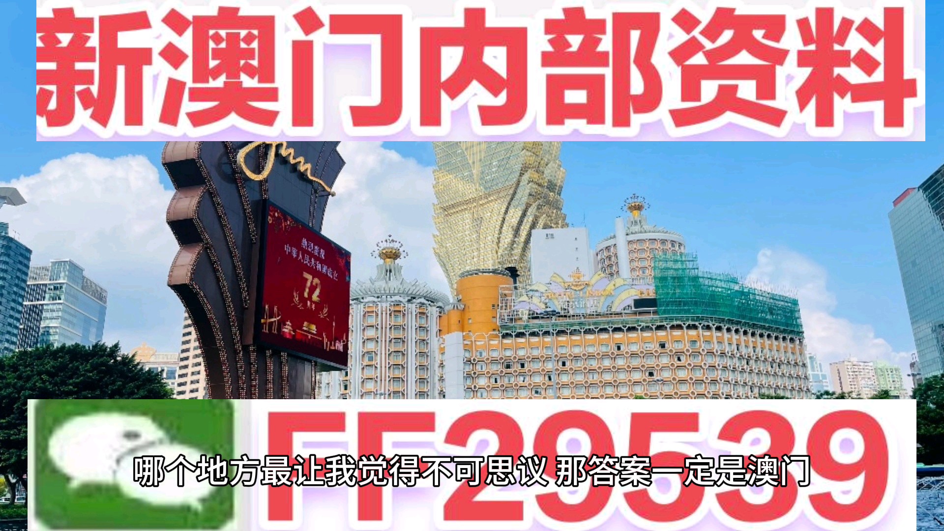 新澳門期期免費(fèi)資料，探索與揭秘，探索與揭秘，新澳門期期免費(fèi)資料