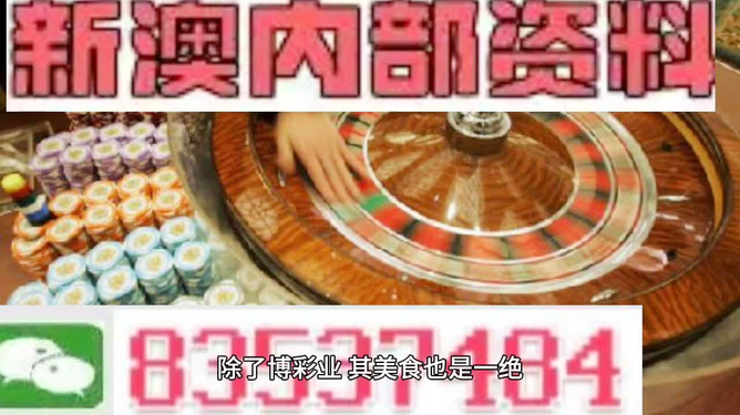 2025年新澳正版資料大全——全面解析與深度探索，2025年新澳正版資料大全，全面解析與深度探索指南