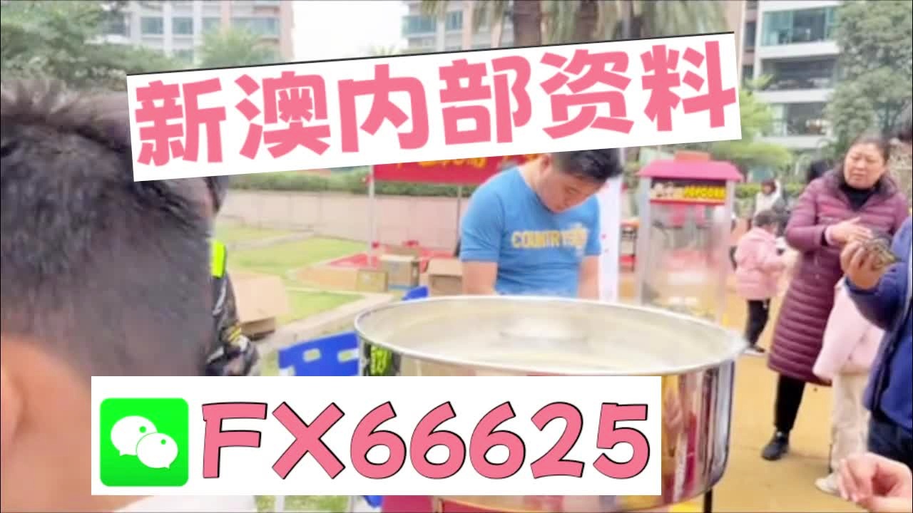 新澳2025新資料大全，全面解析與深度探索，新澳2025新資料大全，全面解析與深度探索揭秘