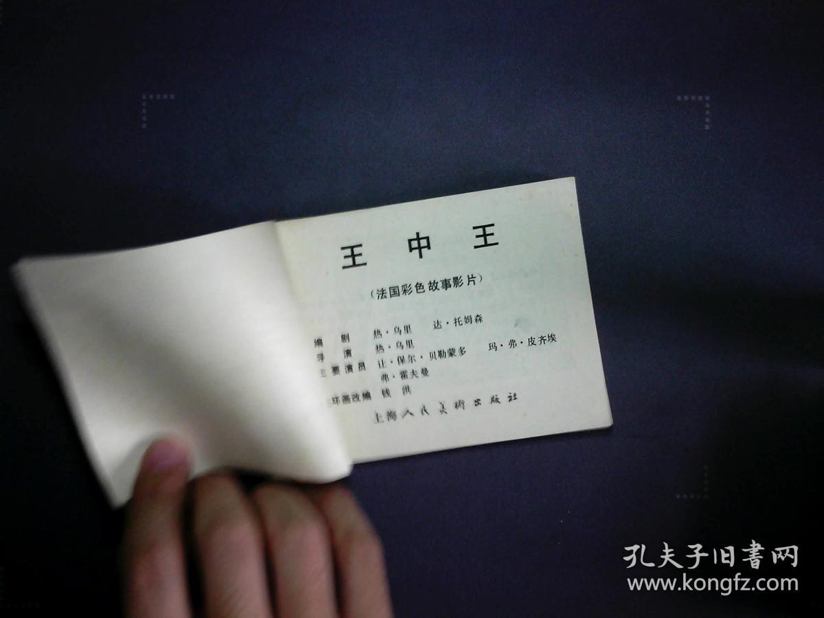 王中王的資料一肖中，深度解析與探索，王中王資料解析，一肖中的深度探索