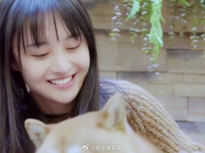 鄭爽與張恒，演藝界的璀璨雙子星，鄭爽與張恒，演藝界的雙星閃耀