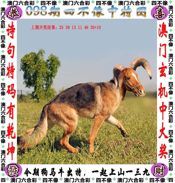 王中王四不像一肖資訊，揭秘背后的神秘面紗，揭秘王中王四不像一肖資訊的神秘面紗