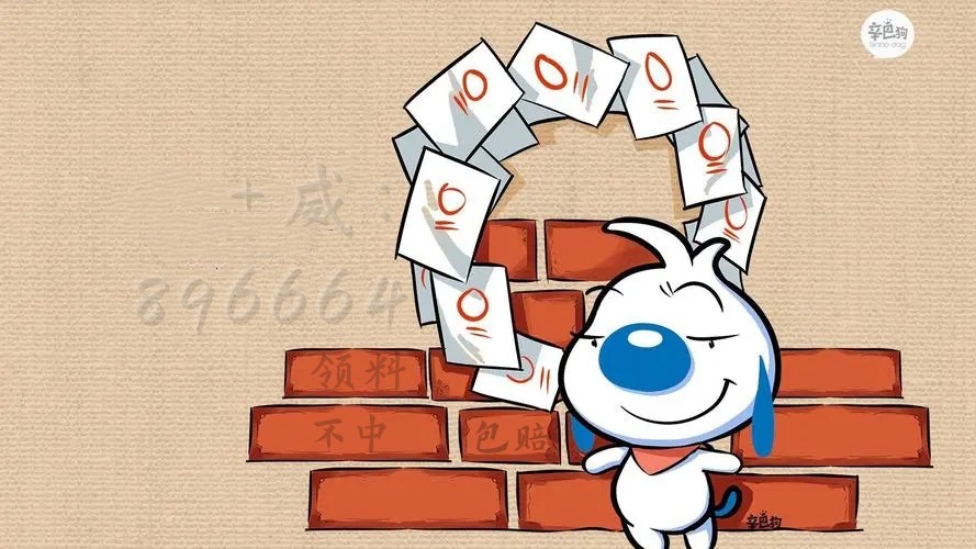 探索神秘的肖一碼，揭示背后的秘密與奧秘，肖一碼背后的秘密與奧秘探索揭秘