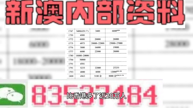 2025新澳正版資料精準(zhǔn)解析，2025新澳正版資料精準(zhǔn)解析手冊