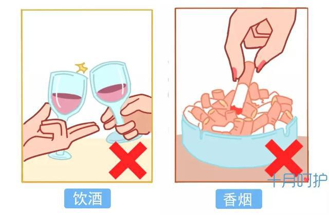 懷孕初期飲食指南，哪些食物不宜吃？，懷孕初期飲食指南，禁忌食物需知！