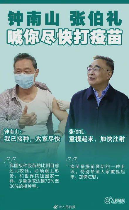 澳門一碼一肖一待一中四不像，探索與解析，澳門一碼一肖一待一中四不像，深度解析與探索