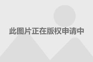 中國美女排名，探尋東方魅力的璀璨星辰，中國美女排名，探尋東方魅力的閃耀星辰