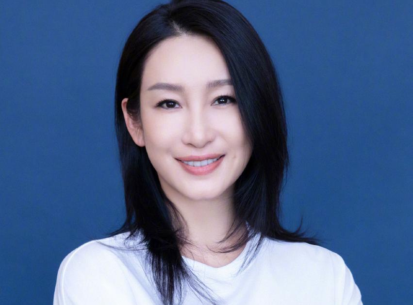 揭秘秦海璐的老公是誰(shuí)，一段星光熠熠的情緣，秦海璐的老公揭秘，星光熠熠的情緣之旅