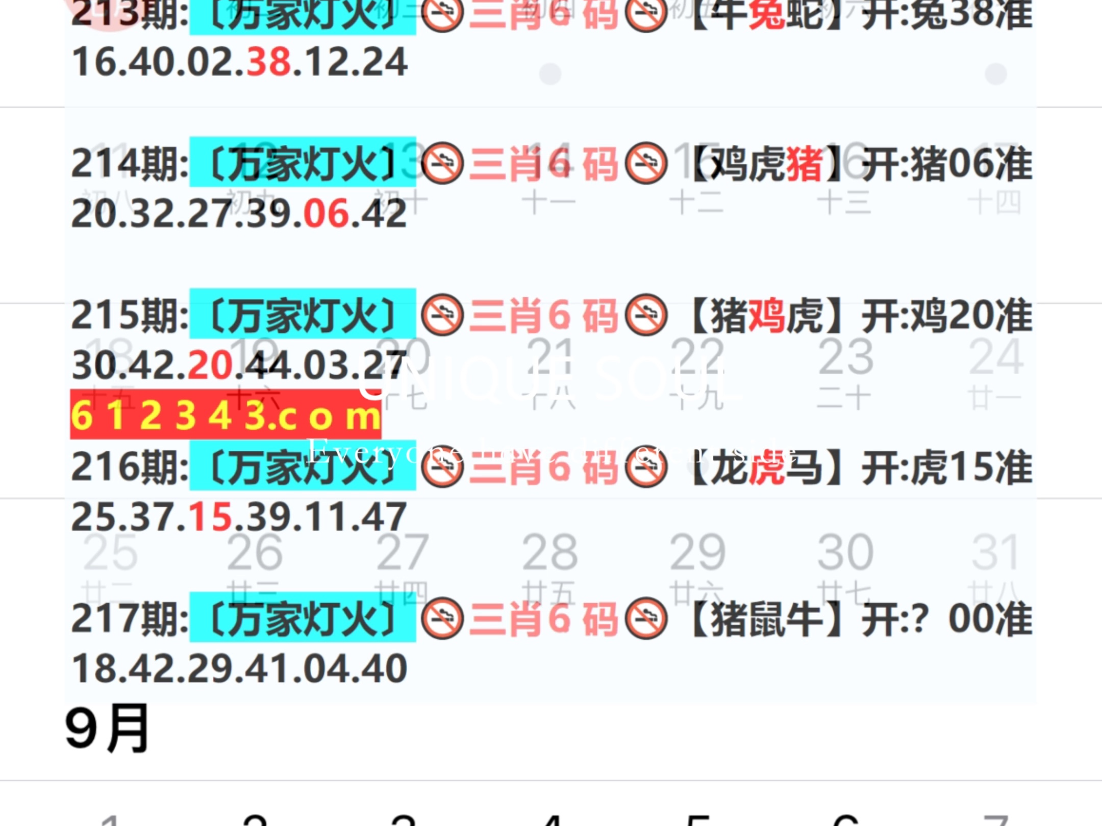 新奧門一肖一碼資料，揭秘與探索，揭秘探索新澳門一肖一碼資料