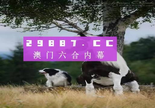 澳門今晚必開一肖一碼，深度解析與預(yù)測，澳門今晚必開一肖一碼深度解析與預(yù)測報(bào)告