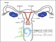 產(chǎn)后子宮收縮好的表現(xiàn)，產(chǎn)后子宮收縮良好的表現(xiàn)與特點