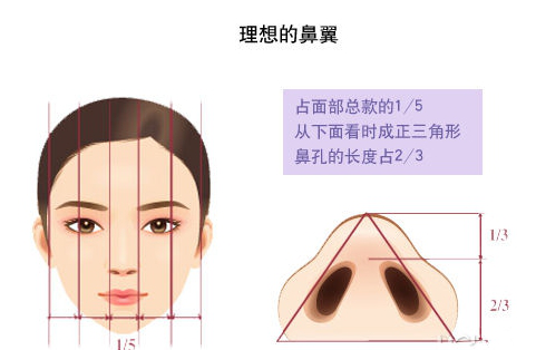 鼻翼縮小手術(shù)費(fèi)用