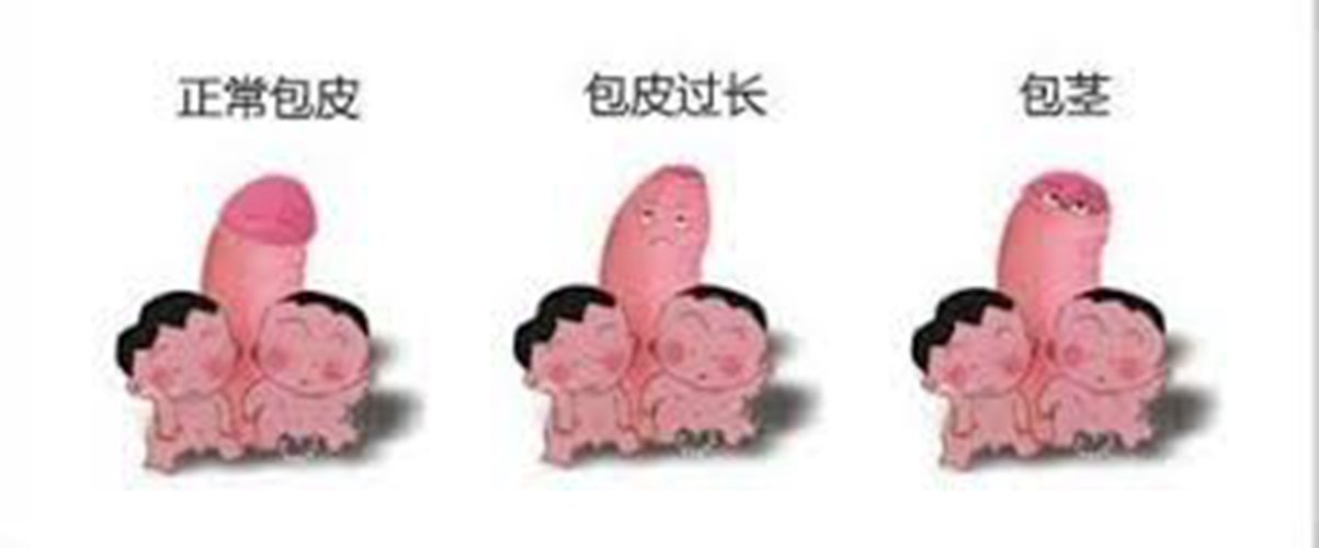 正常狀態(tài)下皮包圖片，時尚與品質(zhì)的完美融合，皮包圖片展示，時尚與品質(zhì)的完美融合風(fēng)采