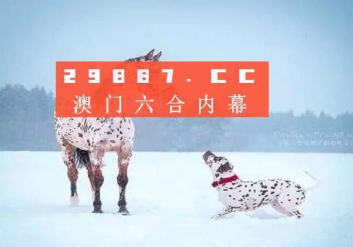 澳門內(nèi)部資料精準(zhǔn)大全2023，深度探索與最新資訊，澳門內(nèi)部資料深度探索與最新資訊大全 2023