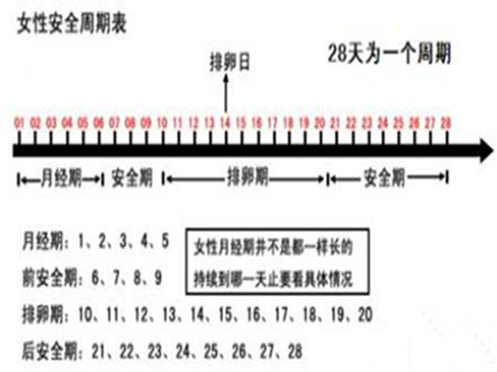 女性安全期計(jì)算器，了解與應(yīng)用的重要性，女性安全期計(jì)算器，了解與應(yīng)用的重要性指南
