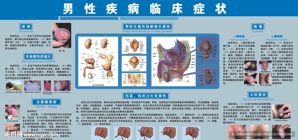 男性性疾病早期圖片及其重要性在預(yù)防與識(shí)別中的角色，男性性疾病早期圖片及其在預(yù)防與識(shí)別中的角色與重要性