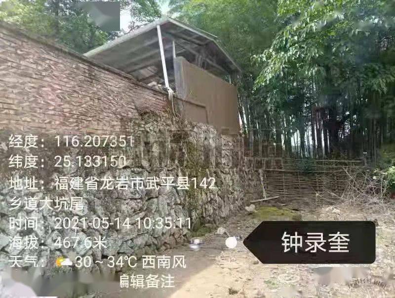王中王一字十拆一肖，深度解析背后的奧秘，王中王一字十拆探秘，揭秘背后奧秘與生肖關聯(lián)