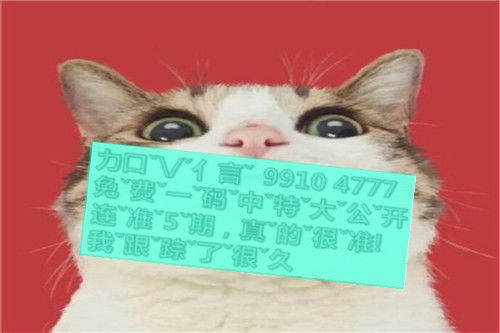 一肖啥意思，深度解析與探索，一肖深度解析與探索，含義、起源及內(nèi)涵探究