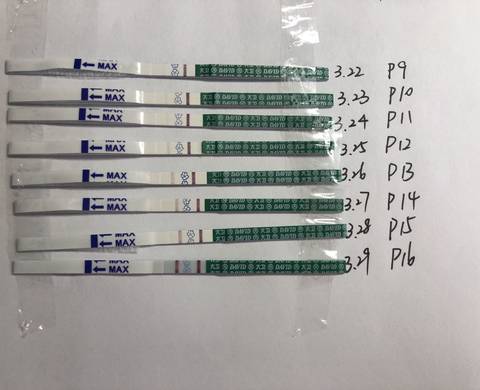 驗孕棒幾天能測出懷孕——全面了解懷孕初期的檢測方式，驗孕棒與懷孕初期檢測，幾天能準確測出懷孕？