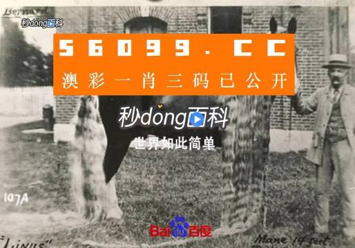 王中王資料心水一肖中特——深度解析與探索，王中王資料心水一肖中特深度解析與探索報告