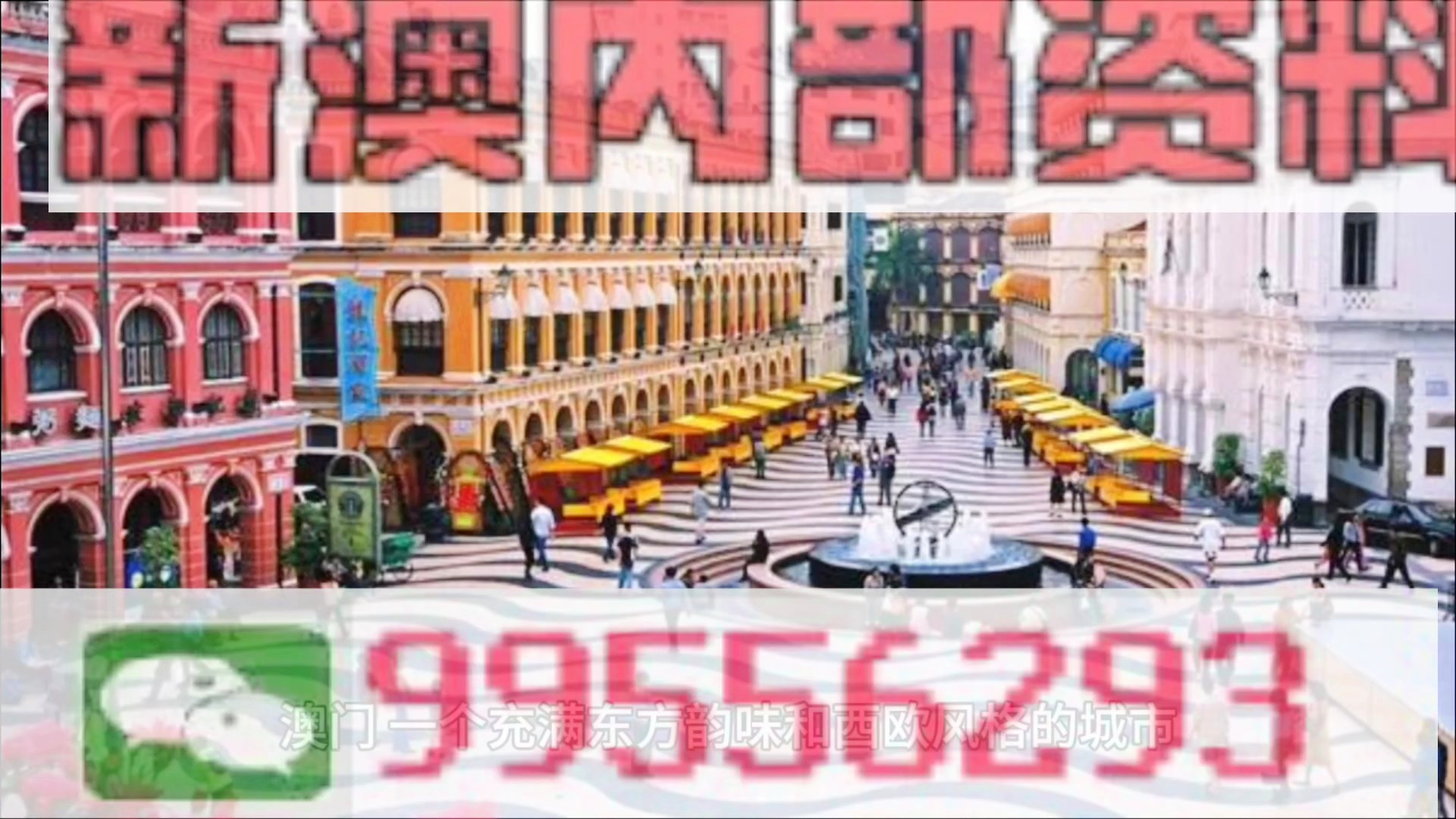新澳門免費資料大全精準版下載，全方位指南與實用指南，澳門免費資料大全精準版下載，全方位指南與實用指南手冊