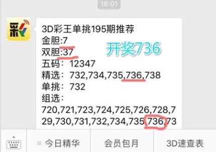 揭秘王中王，一肖中特的獨特魅力與奧秘，揭秘王中王，一肖中特的獨特魅力與神秘奧秘