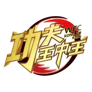 王中王一肖平特占，探索關(guān)鍵詞背后的故事與奧秘，王中王一肖平特占背后的故事與奧秘探索