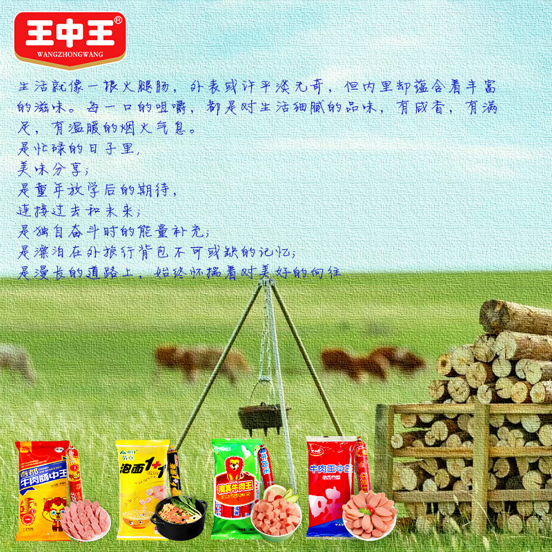 王中王公開一肖中特料，揭秘背后的秘密與策略，王中王公開一肖中特料背后的秘密與策略揭秘