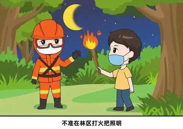 森林之中王中王，揭秘生肖之王——虎之傳奇，森林霸主揭秘，生肖之王虎的傳奇故事