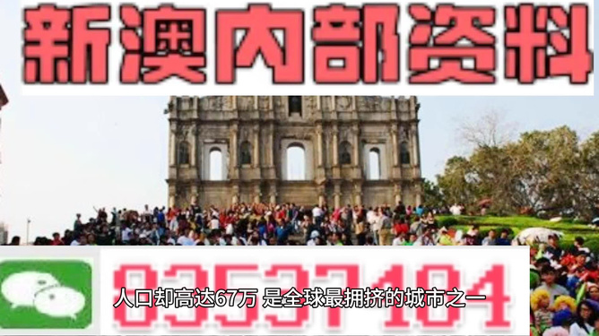 新澳門內(nèi)部正版資料大全——探索與解析，澳門內(nèi)部正版資料大全，深度探索與解析
