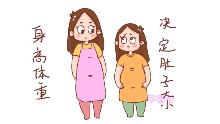 小腹胖與懷孕的區(qū)別圖，解讀身體變化的真相，小腹胖與懷孕的差異解讀，身體變化的真相圖示