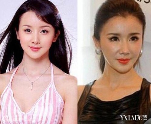 美麗背后的故事與啟示