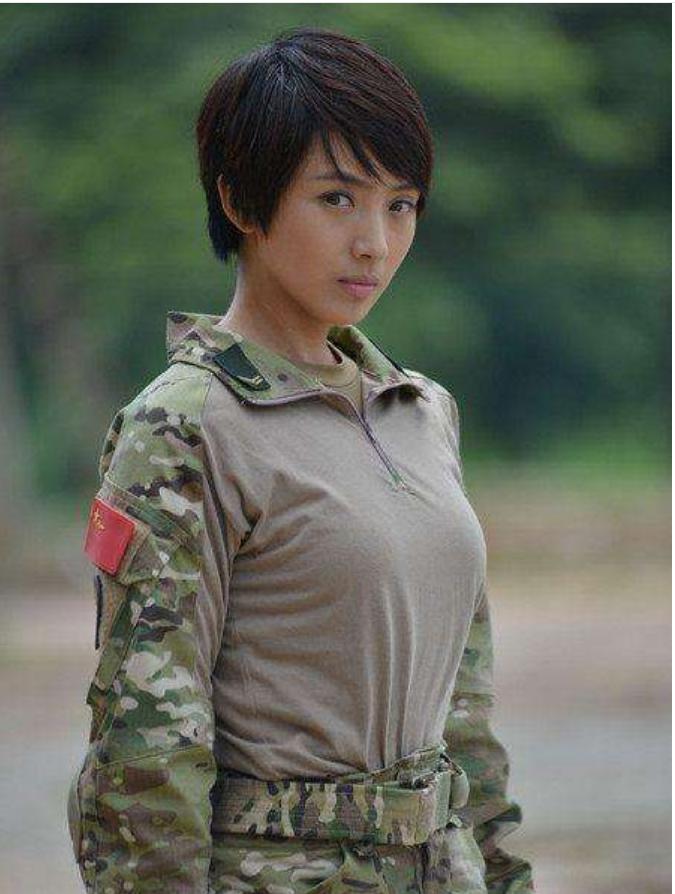 特種兵之火鳳凰演員群星閃耀，角色深度解析，特種兵之火鳳凰，演員群星璀璨，角色深度解讀