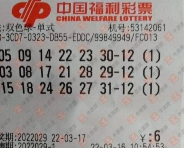 揭秘029期王中王平特一肖，運(yùn)勢與策略分析，揭秘王中王平特一肖運(yùn)勢與策略分析（第029期詳解）
