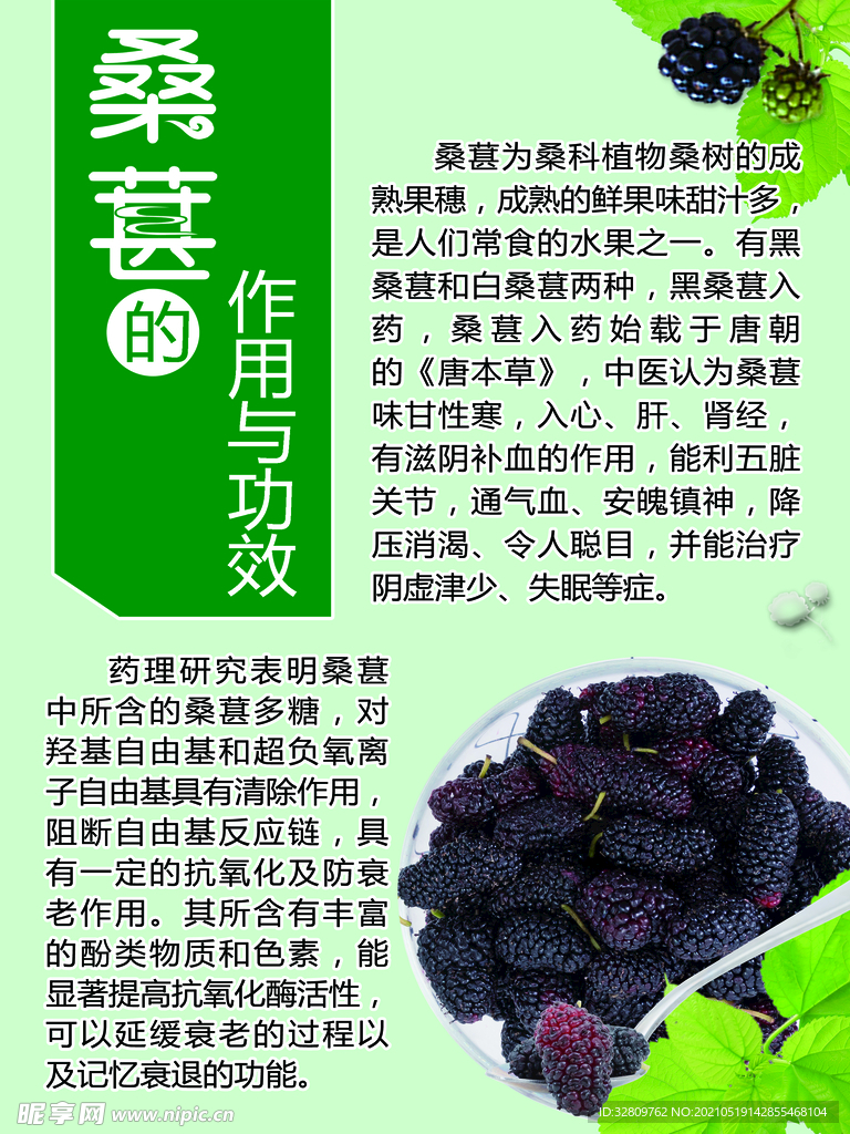 桑椹，神奇的自然之寶，其功效與作用令人矚目，桑椹，自然之寶，矚目功效