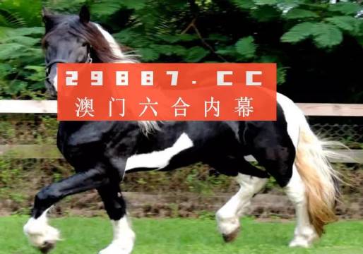 香港一肖一碼圖與中特彩票的奧秘，香港彩票一肖一碼圖與中特彩票的奧秘探究