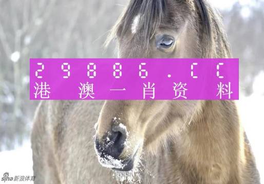 揭秘最準(zhǔn)一肖一碼，揭秘背后的秘密與真相，揭秘最準(zhǔn)一肖一碼，真相大揭秘