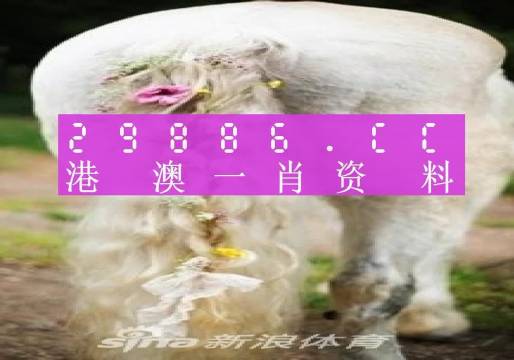 澳門(mén)內(nèi)部資料精準(zhǔn)大全2023，深度探索與最新資訊，澳門(mén)內(nèi)部資料深度探索與最新資訊大全 2023