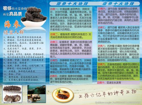 海參的功效與禁忌人群，深入了解海參的營(yíng)養(yǎng)價(jià)值及適用人群，海參的營(yíng)養(yǎng)價(jià)值、功效與禁忌，適用人群及深入了解