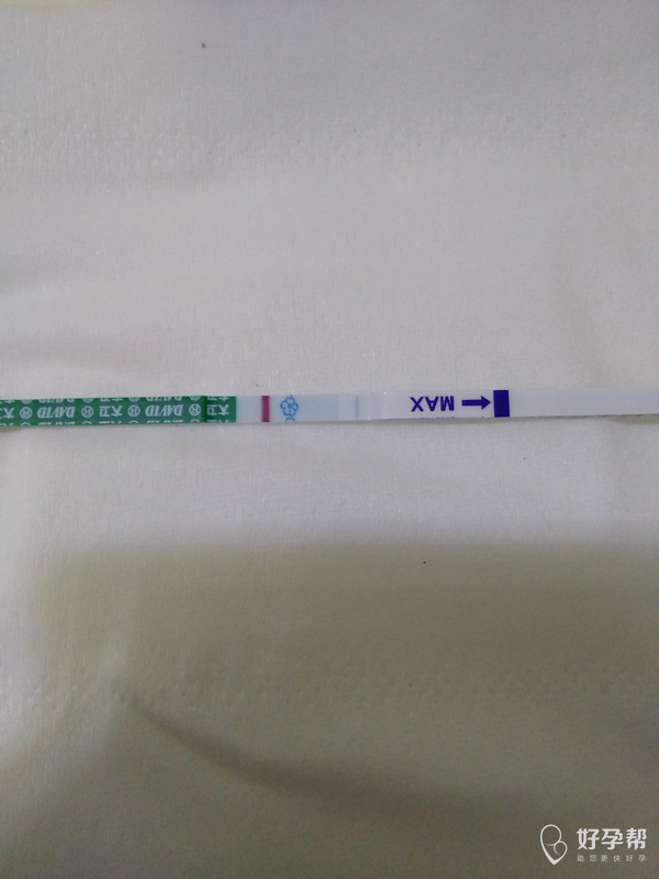 比試紙更早的懷孕信號，揭示懷孕的早期跡象，懷孕早期跡象揭秘，超越試紙的初步信號