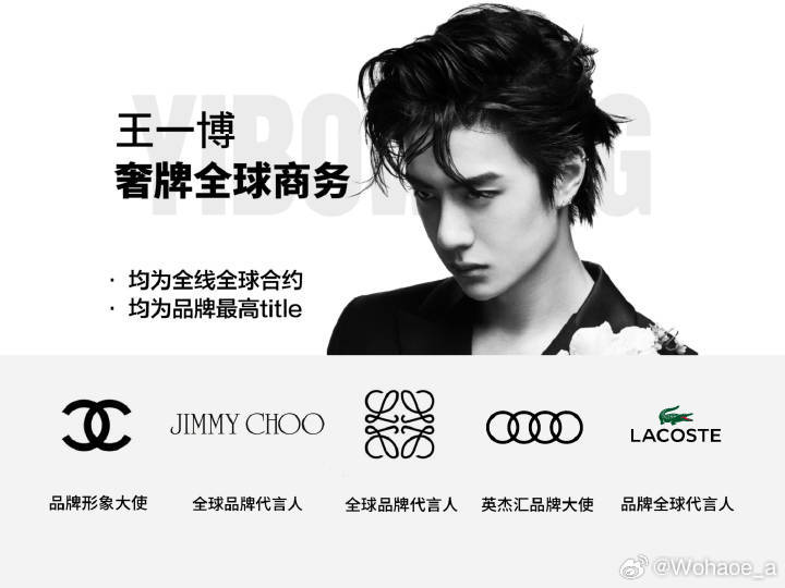 揭秘5o4王中王一肖中特背后的秘密，揭秘王中王一肖中特背后的秘密揭曉真相