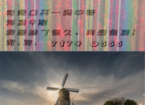 王中王三肖三期必一期，深度解析與預(yù)測(cè)，王中王三肖三期深度解析與預(yù)測(cè)，一期展望