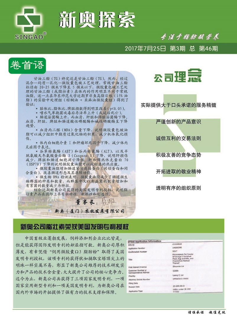 2025新澳正版資料精準(zhǔn)解析，2025新澳正版資料精準(zhǔn)解析手冊(cè)