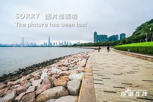 韓國娛樂新聞聯(lián)播，最新動態(tài)與熱門話題一網(wǎng)打盡，韓國娛樂新聞聯(lián)播，最新動態(tài)與熱門話題全掌握
