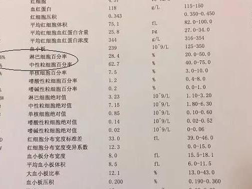 血常規(guī)28項(xiàng)對(duì)照表解釋，深入了解血液健康的關(guān)鍵，血常規(guī)28項(xiàng)對(duì)照表詳解，掌握血液健康的關(guān)鍵指標(biāo)