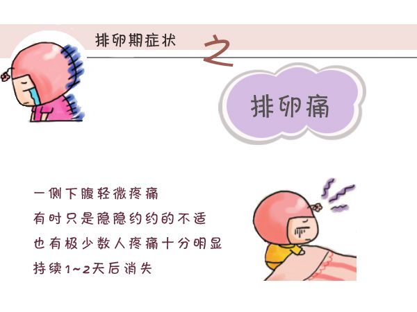 排卵期癥狀及其影響，深入了解女性生理周期的變化，深入了解女性生理周期變化，排卵期癥狀及其影響全解析
